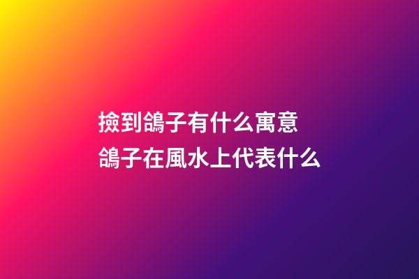 撿到鴿子有什么寓意 鴿子在風水上代表什么
